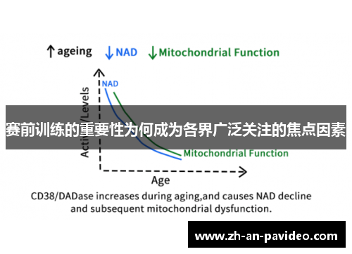 赛前训练的重要性为何成为各界广泛关注的焦点因素 赛前训练的重要性为何成为各界广泛关注的焦点因素