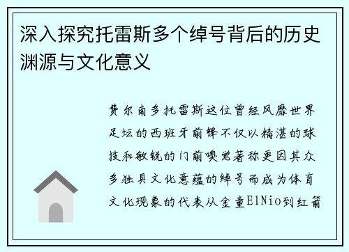 深入探究托雷斯多个绰号背后的历史渊源与文化意义